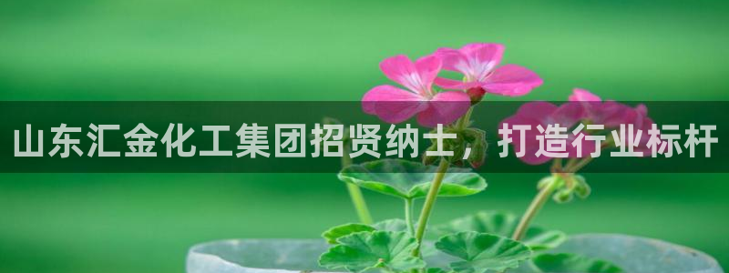 球盟会app最新地址下载安装