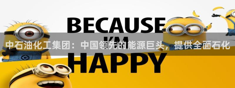 球盟会游戏几点玩合适：中石油化工集团：中国领先的能源巨头，提