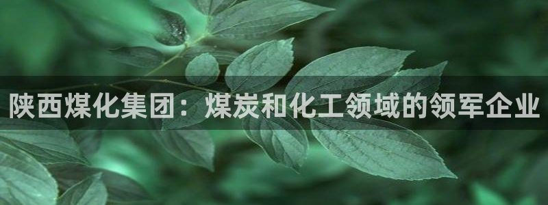 球盟会官方入口：陕西煤化集团：煤炭和化工领域的领军企业