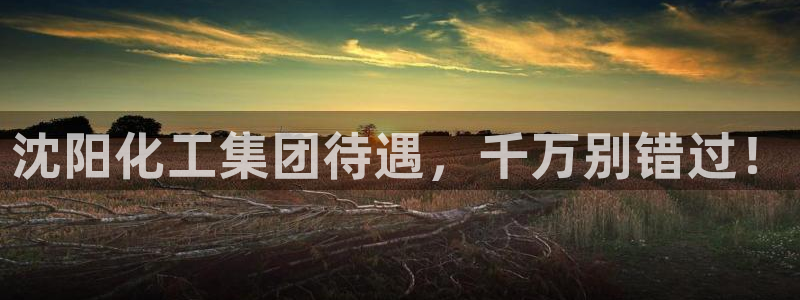 球盟会连接