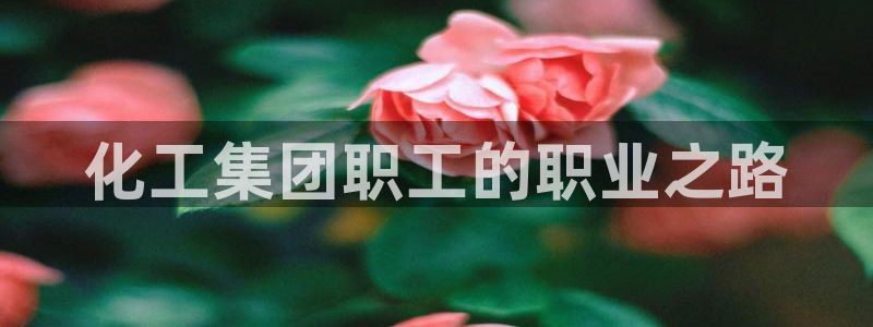 球盟会app安装