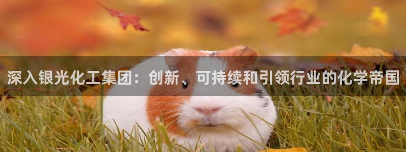 球盟会有限公司怎么样