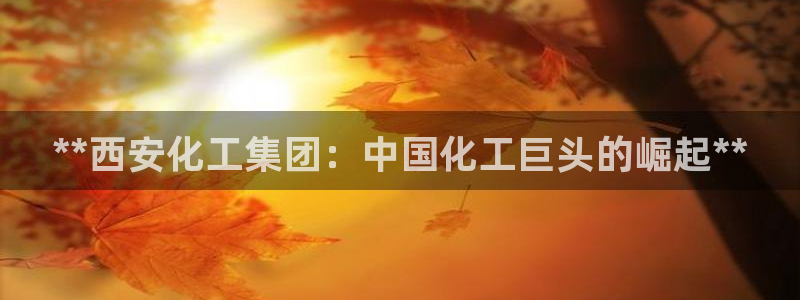球盟会App