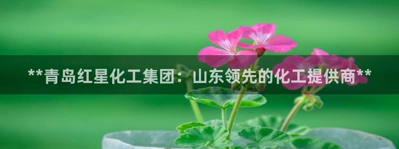 球盟会可靠不：**青岛红星化工集团：山东领先的化工提供商**