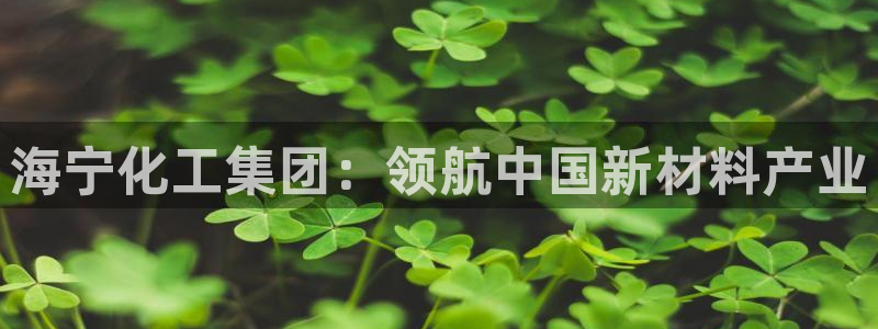 球盟会进不去球员吗