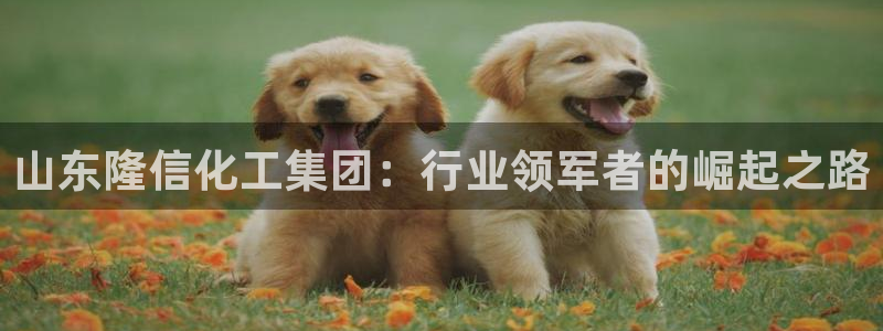 球盟会邮箱