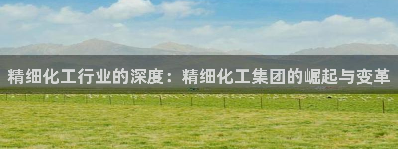 球盟会APP最新地址