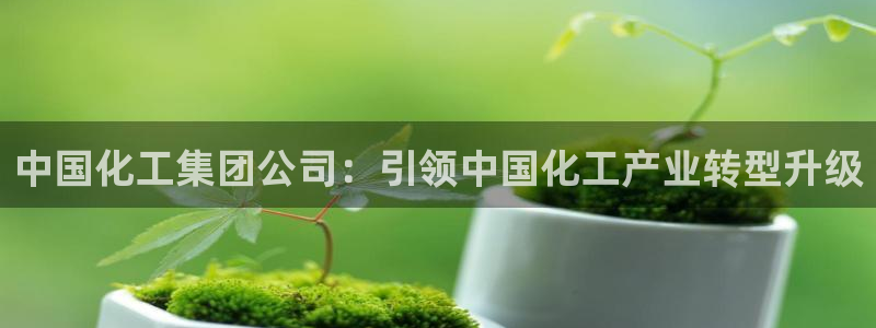 球盟会可以提现么是真的吗：中国化工集团公司：引领中国化工产业