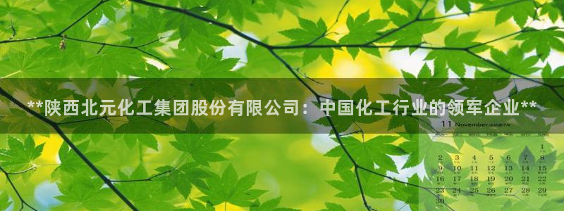 球盟会有没有黑单的人：**陕西北元化工集团股份有限公司：中国