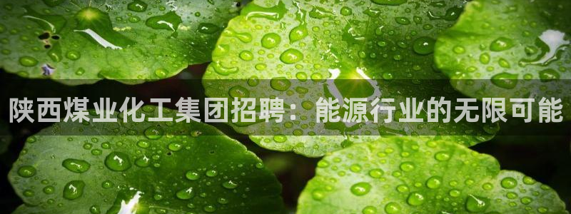 球盟会官方版下载地址