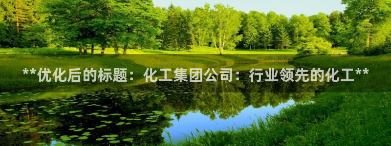球盟会有没有黑单的人：**优化后的标题：化工集团公司：行业领