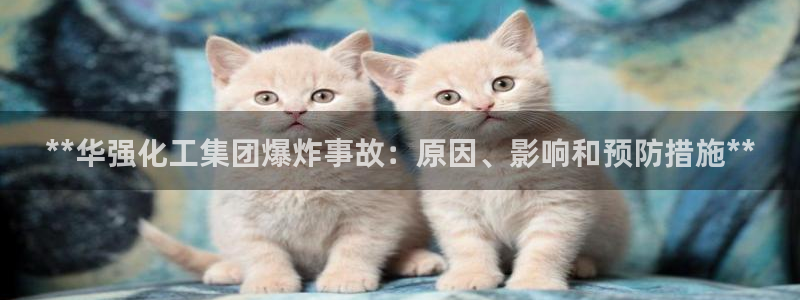 球盟会qm8597：**华强化工集团爆炸事故：原因、影响和预