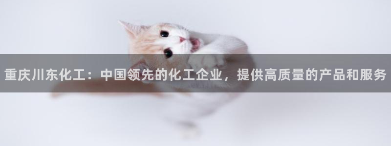 球盟会app最新地址在哪看：重庆川东化工：中国领先的化工企业