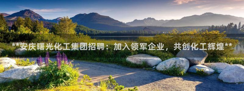 球盟会游戏：**安庆曙光化工集团招聘：加入领军企业，共创化工