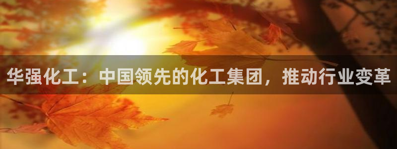球盟会app手机登录：华强化工：中国领先的化工集团，推动行业
