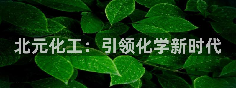 球盟会官方平台入口：北元化工：引领化学新时代