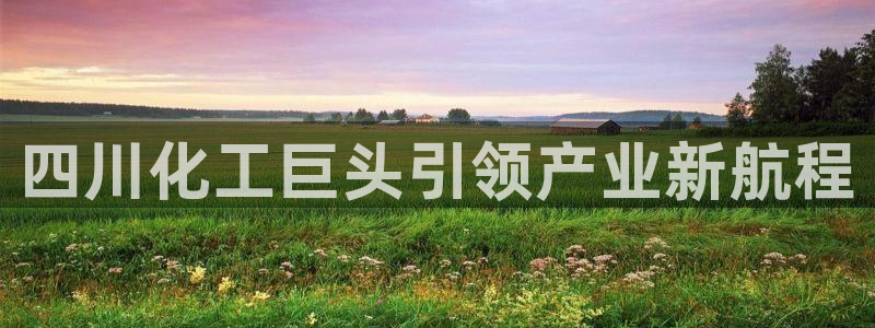 球盟会app最新地址在哪找：四川化工巨头引领产业新航程