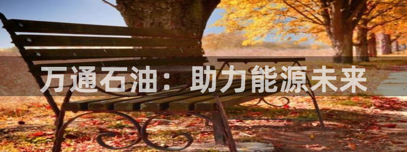 球盟会app安装：万通石油：助力能源未来