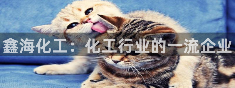 球盟会qmh网址：鑫海化工：化工行业的一流企业