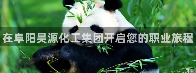 球盟会几点玩合适：在阜阳昊源化工集团开启您的职业旅程