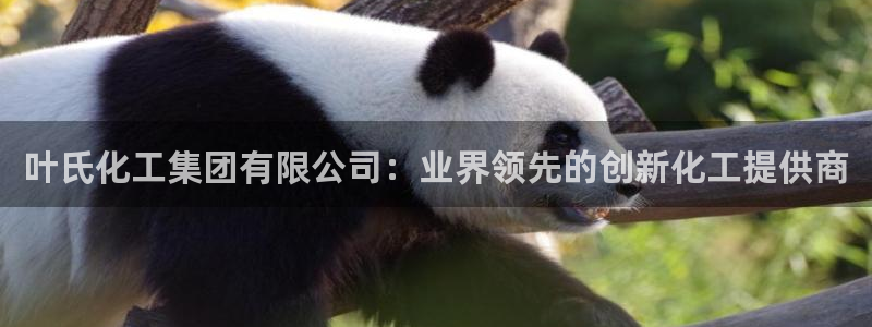 球盟会贴吧：叶氏化工集团有限公司：业界领先的创新化工提供商