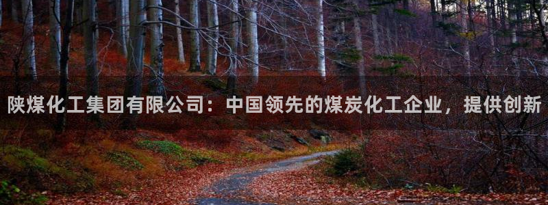 球盟会黑钱：陕煤化工集团有限公司：中国领先的煤炭化工企业，提