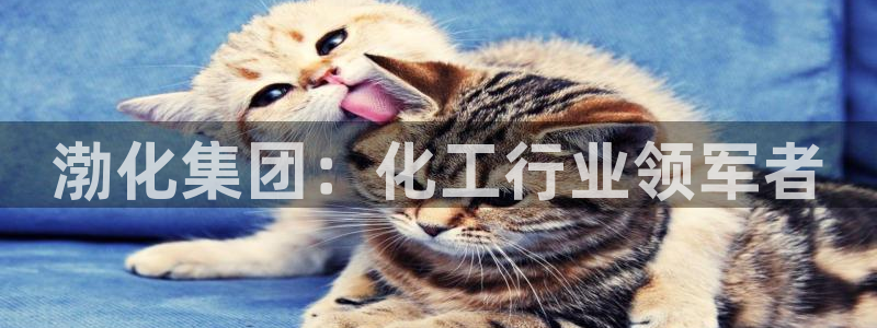 球盟会邮箱：渤化集团：化工行业领军者