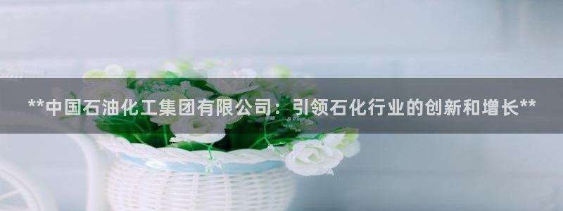 球盟会官方网页登录：**中国石油化工集团有限公司：引领石化行