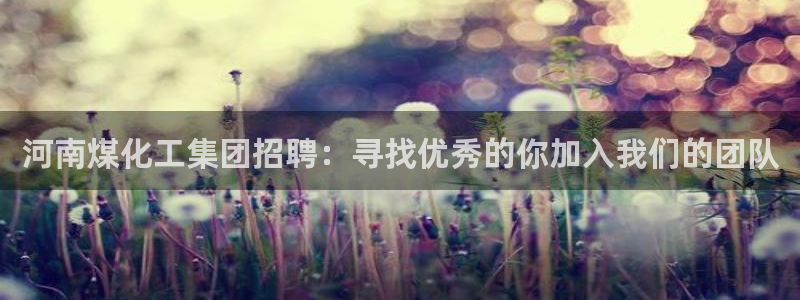 球盟会综合体育平台：河南煤化工集团招聘：寻找优秀的你加入我们