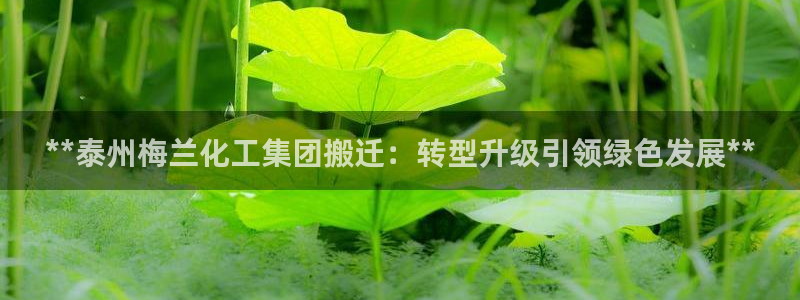 球盟会网页版：**泰州梅兰化工集团搬迁：转型升级引领绿色发展