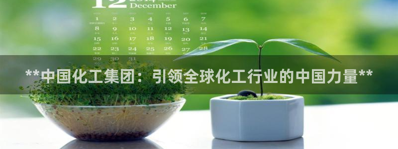 球盟会黑款吗：**中国化工集团：引领全球化工行业的中国力量*