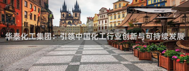 球盟会网址：华泰化工集团：引领中国化工行业创新与可持续发展