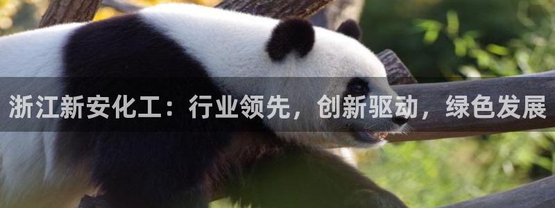 球盟会官网登录入口：浙江新安化工：行业领先，创新驱动，绿色发