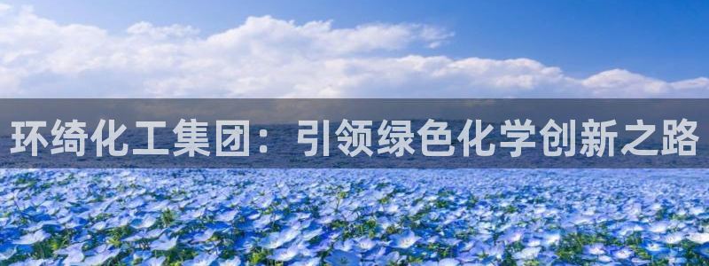 球盟会官方网站app