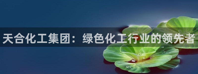 球盟会可以提现么是真的吗：天合化工集团：绿色化工行业的领先者