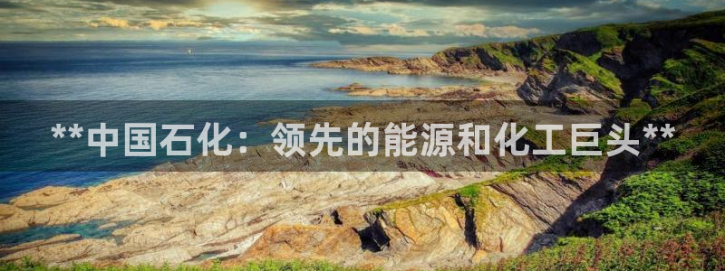 球盟会能退钱吗：**中国石化：领先的能源和化工巨头**