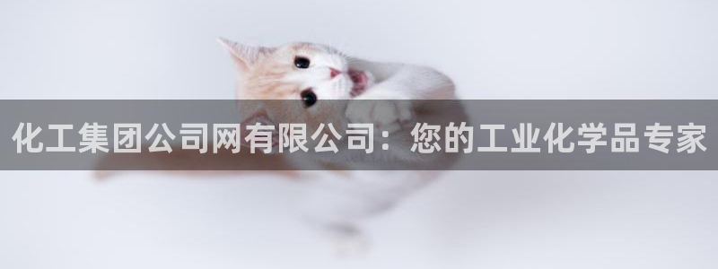 球盟会能提现吗是真的吗