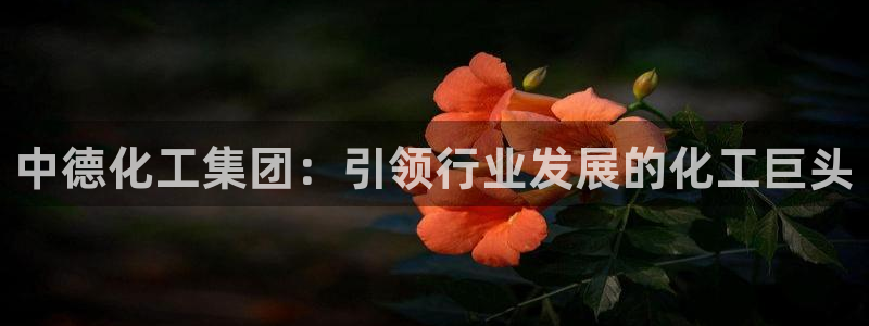 球盟会可以提现么现在