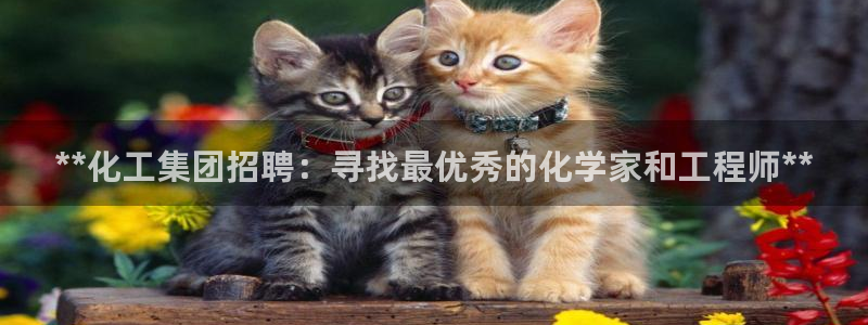 球盟会官方网页登录：**化工集团招聘：寻找最优秀的化学家和工