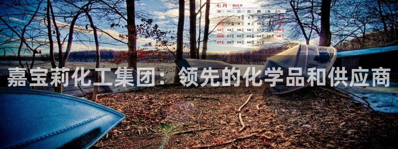 球盟会app最新地址下载安装：嘉宝莉化工集团：领先的化学品和