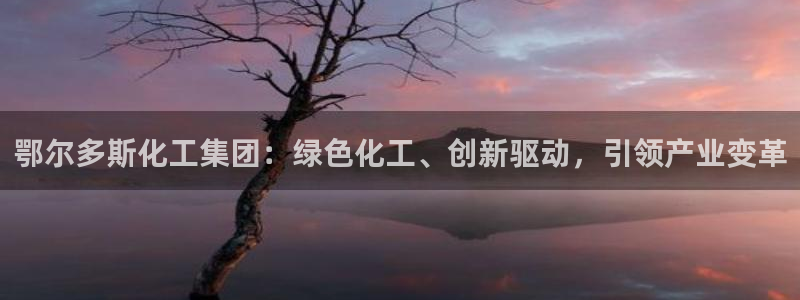 球盟会app最新地址在哪看：鄂尔多斯化工集团：绿色化工、创新