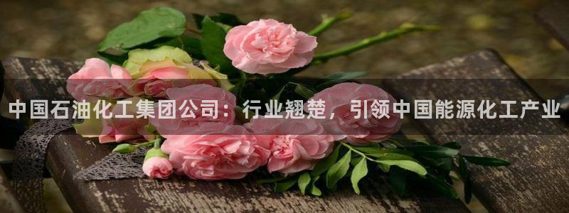 球盟会qm8597