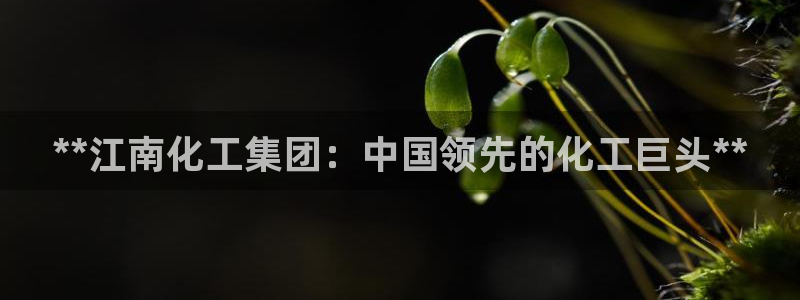 球盟会体育app官方网站