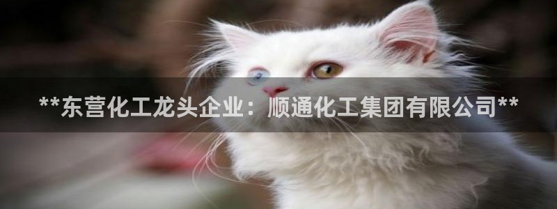球盟会贴吧