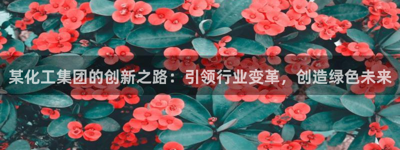 球盟会APP最新地址