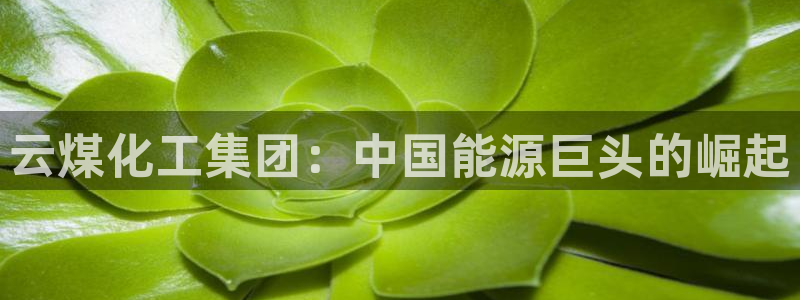 球盟会电子好下吗