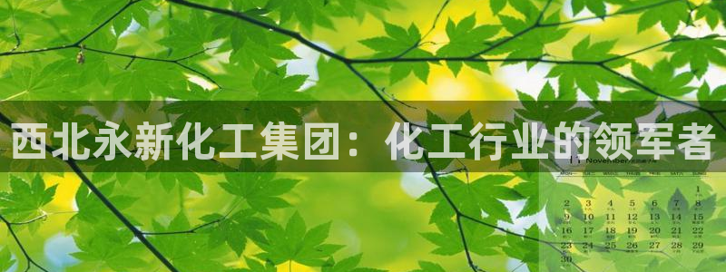 球盟会登陆中心
