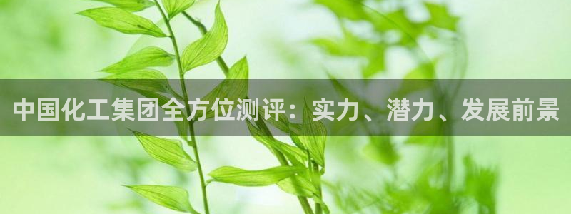 球盟会综合app下载