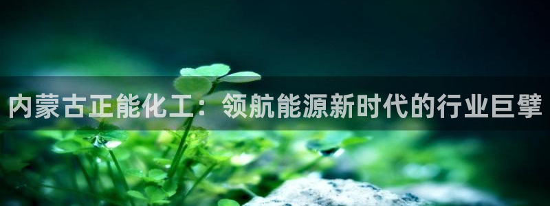 球盟会app