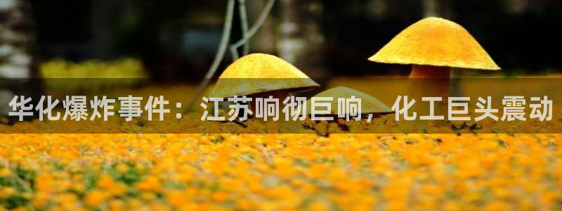 球盟会官网